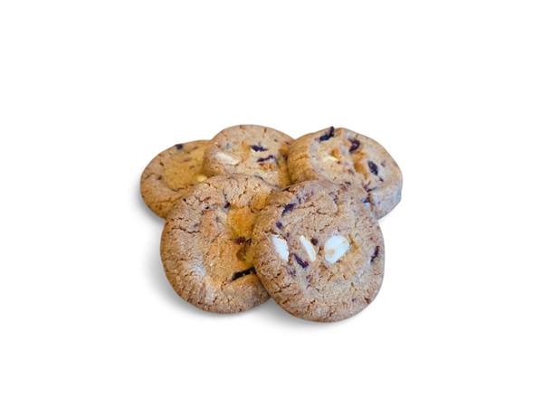 Choco cranberry koekjes 10 st.